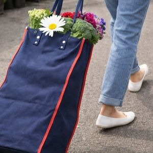 Stylish Navy Blue and Red Folding Shopping Bag With Retractable Wheels